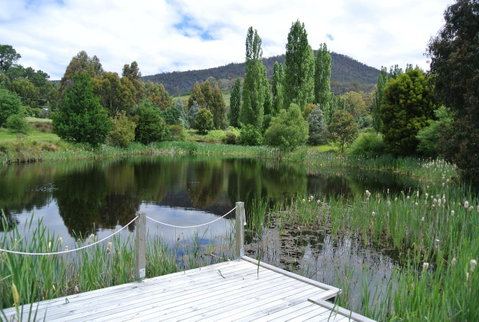 Hamlet Downs Country Accommodation - Adwords Guide 12