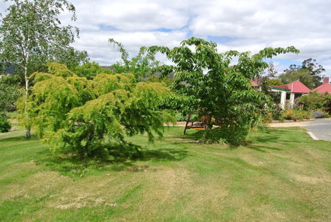 Hamlet Downs Country Accommodation - Adwords Guide 21