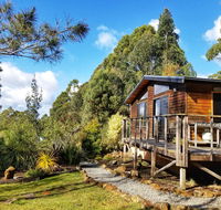 Southern Forest Accommodation - Adwords Guide
