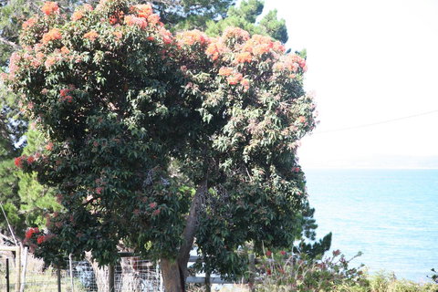 Wavestation - Adwords Guide 19