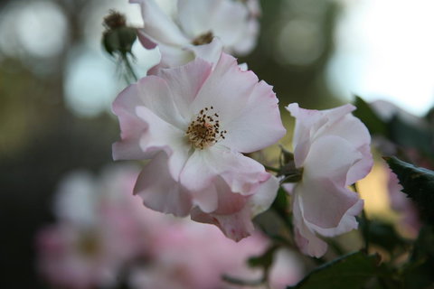 Wavestation - Adwords Guide 16