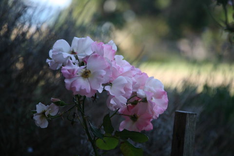 Wavestation - Adwords Guide 17