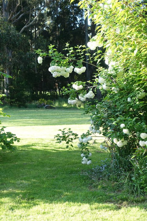 Wavestation - Adwords Guide 13