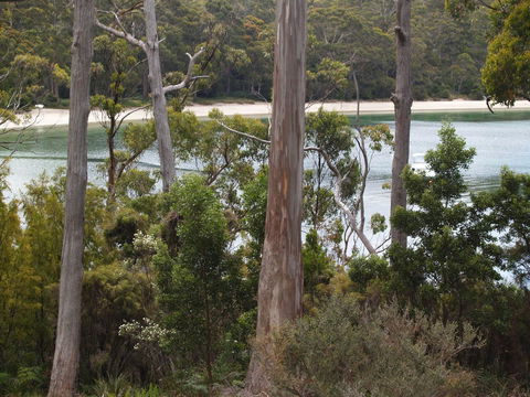 Stewarts Bay Lodge - Adwords Guide 23