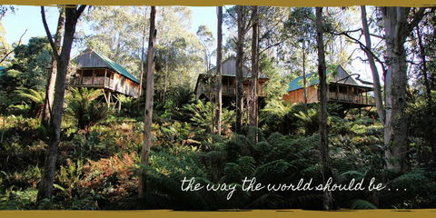 Lemonthyme Wilderness Retreat - Adwords Guide 20