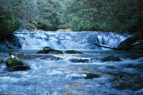 Lemonthyme Wilderness Retreat - Adwords Guide 10