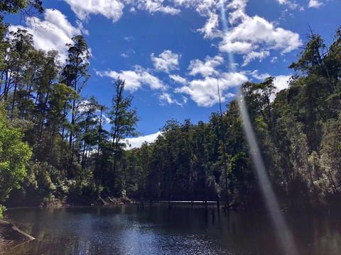 Lemonthyme Wilderness Retreat - Adwords Guide 7