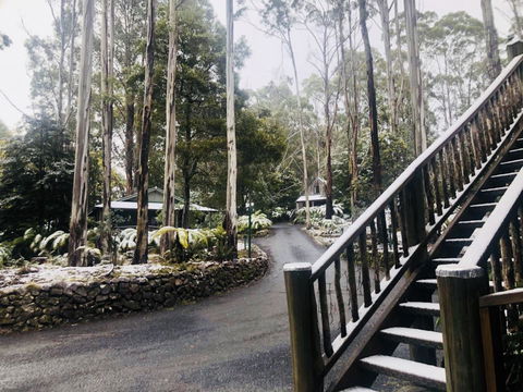 Lemonthyme Wilderness Retreat - Adwords Guide 15