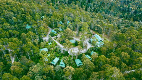 Lemonthyme Wilderness Retreat - Adwords Guide 0
