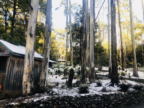 Lemonthyme Wilderness Retreat - Adwords Guide 6