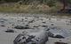 Beachside Taroona - thumb 21