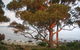 Beachside Taroona - thumb 18