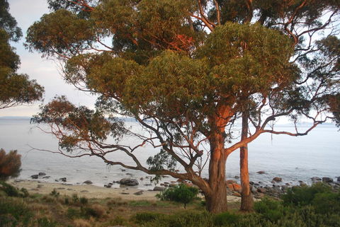 Beachside Taroona - Adwords Guide 18