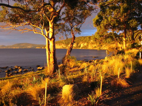 Beachside Taroona - Adwords Guide 19