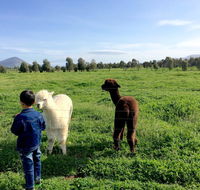 Taras Richmond Farmstay - Adwords Guide