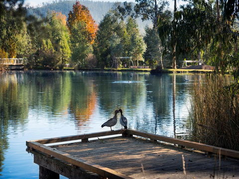 Vibe Hotel Marysville - Adwords Guide 12