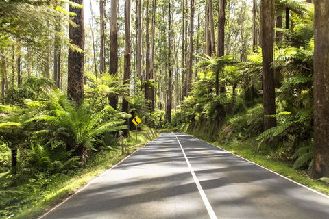 Vibe Hotel Marysville - Adwords Guide 21