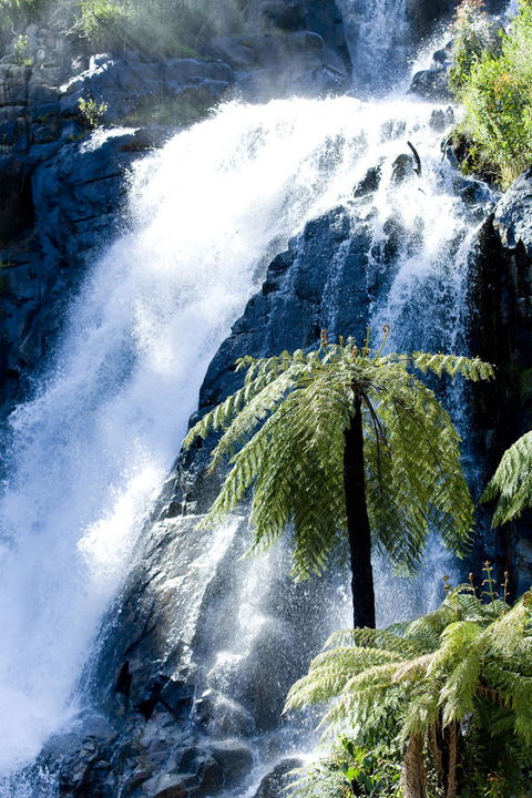 The Tower Motel Marysville - Adwords Guide 23