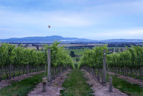 Balgownie Estate Vineyard Resort & Spa - Adwords Guide 37