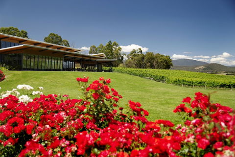 Balgownie Estate Vineyard Resort & Spa - Adwords Guide 0