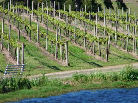 De'Vine Escape - Adwords Guide 13