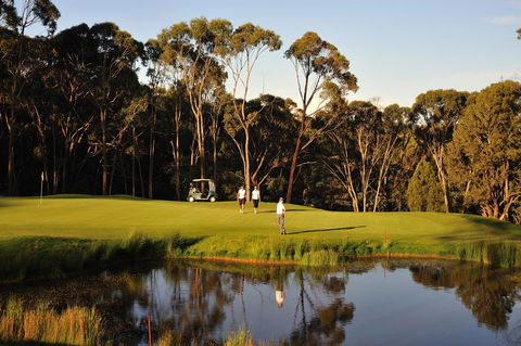 RACV Goldfields Resort - Adwords Guide 31