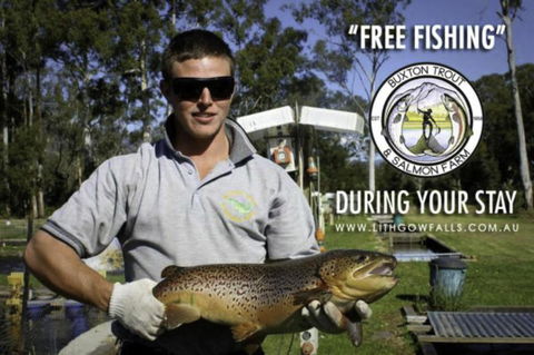 Lithgow Falls Marysville - Adwords Guide 14