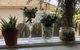 Growse House Yarram - thumb 10