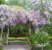 Amelina Cottages - Adwords Guide