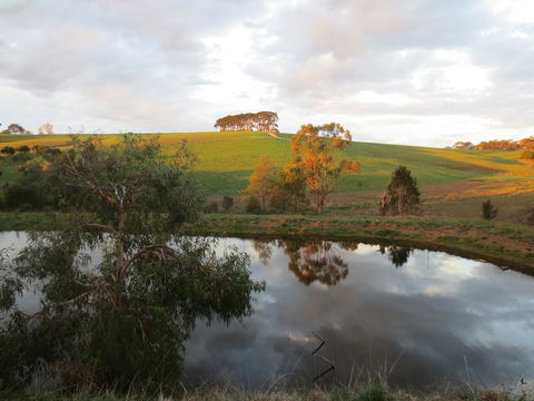 Walnut Cottage Via Leongatha - Adwords Guide 10