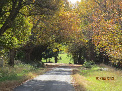 Walnut Cottage Via Leongatha - Adwords Guide 11