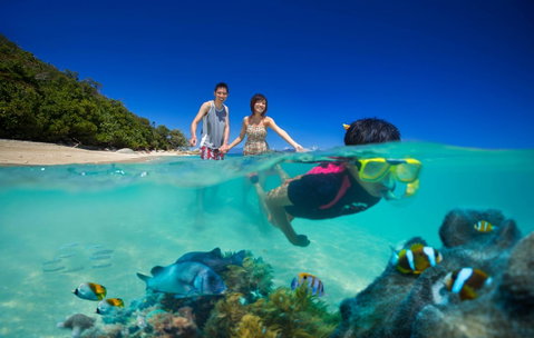 Fitzroy Island Resort - Adwords Guide 22