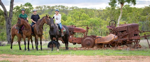 Ironbark House - Adwords Guide 8