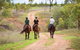 Ironbark House - thumb 22