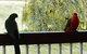 Loughmore House - thumb 9