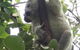 The Mini Manor On Mandalay - thumb 5