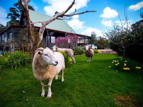 Parnella Adventure Bay, Bruny Island - Adwords Guide 19