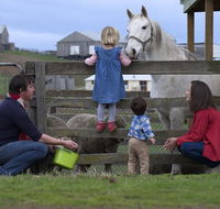 28 gates Luxury Farmstay and Fishery - Adwords Guide