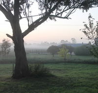 Abington Farm - Adwords Guide