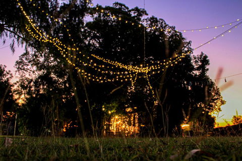 Banyan Tree - Adwords Guide 0