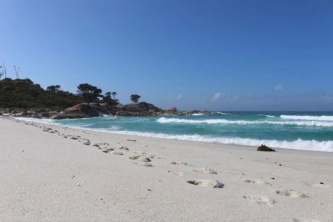Barefoot Beach House - Adwords Guide 1