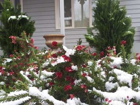 Barton Mill At Marysville - Adwords Guide 1