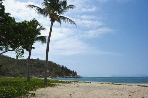 Beachcomber Unit 2 - Adwords Guide 1