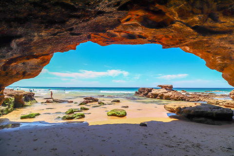Beachside Oasis - Adwords Guide 1