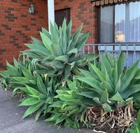 Beautiful Bedroom in Bentleigh East - Adwords Guide