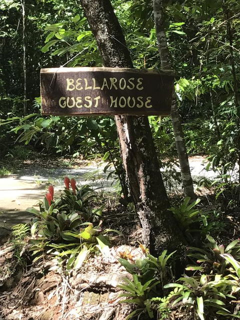 Bellarose Guest House - Adwords Guide 3