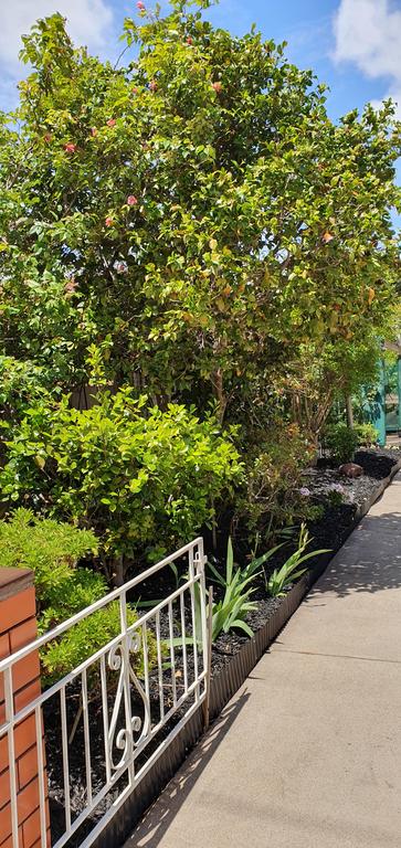 Betty's Place - Adwords Guide 1