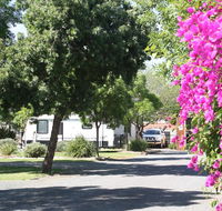 BIG 4 Hay - Adwords Guide