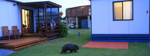 BIG4 Kelso Sands Holiday & Native Wildlife Park - Adwords Guide 2