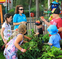 BIG4 Koala Shores Holiday Park - Adwords Guide